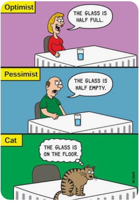 Optimist2Cat.jpg.d7aafea2472e7bd674cb036375630c75.jpg