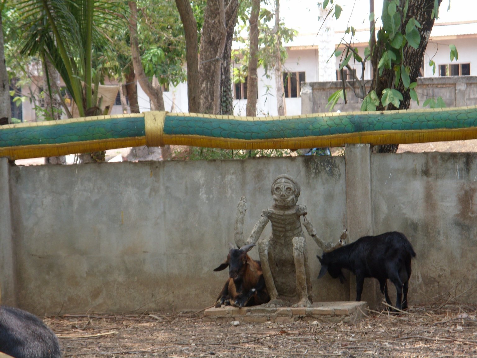 SN851588.thumb.JPG.f6c095804752cc24e92e7aa973ced3fd.JPG