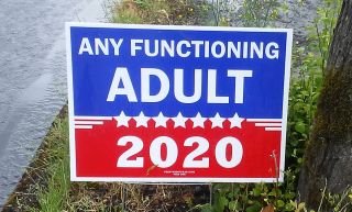 anyadult3.jpg.e0dad65a7a50bee85076721c36ce3f3d.jpg