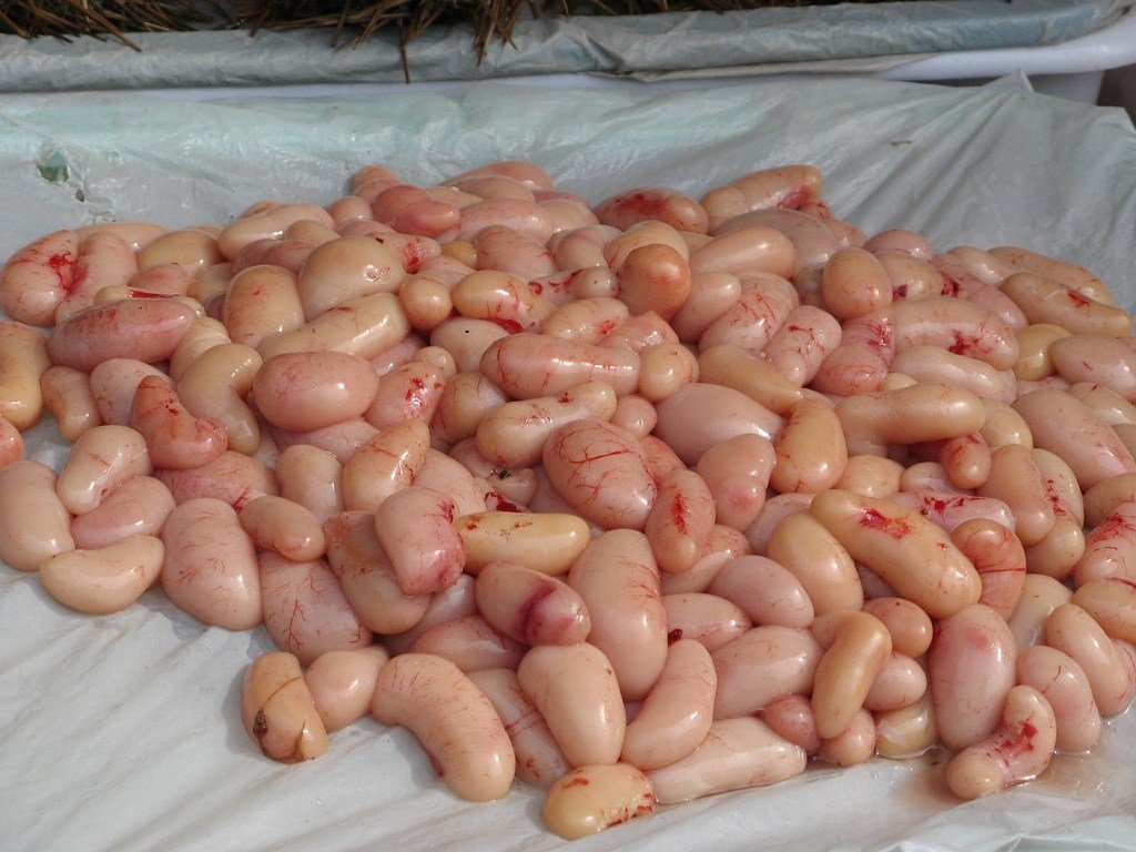 chicken-testicles.jpg.3edf639a131be2dc9bced15e8f778e52.jpg