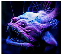 image.png.5b9050fd91f4193d648eb2ee632d2f7f.png