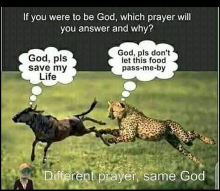 image.png.7d53b1cb615a5ab571f217b7dfa5dae3.png