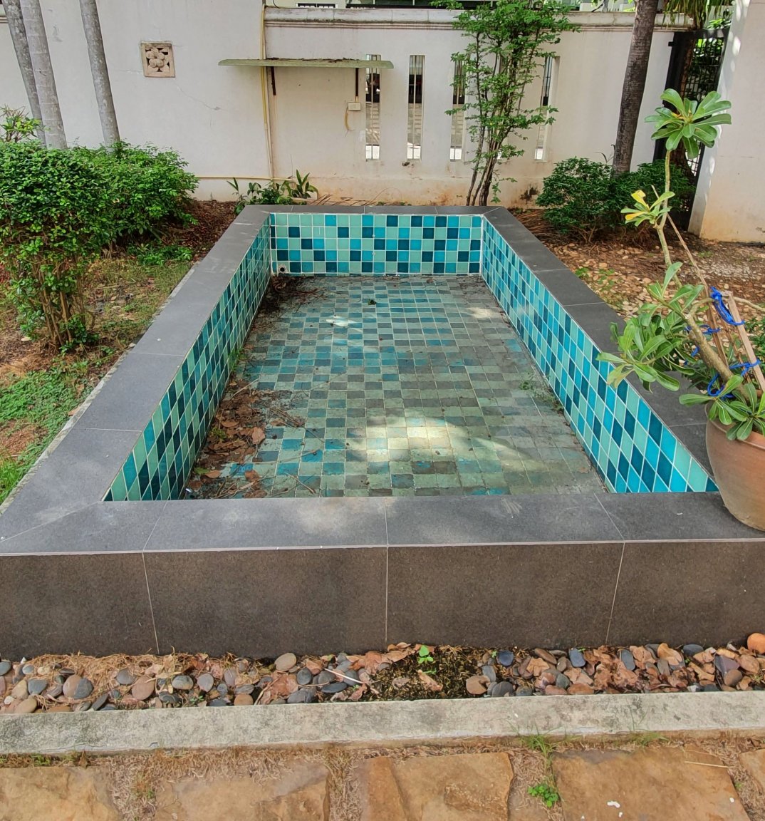pool.thumb.jpg.a4ce1bb7ed44ae0d8c80066408d31788.jpg