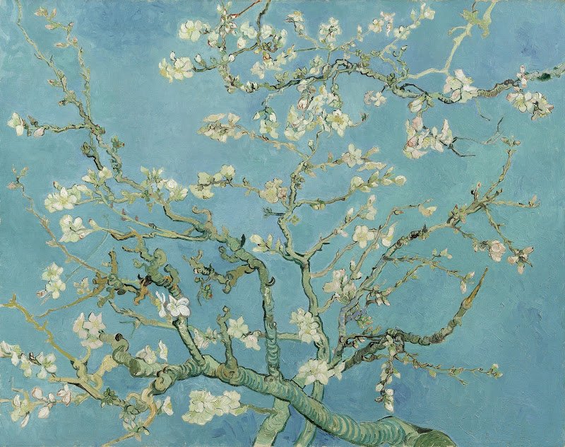 vangoghmuseum-s0176V1962-800.jpg.592e8d74643f62d09519a339a21080e0.jpg