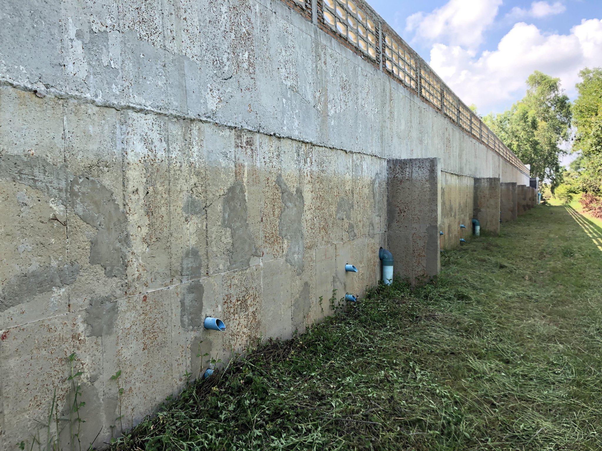 Wall 4 2020 July.jpg