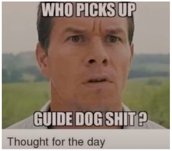1623541913_guidedogshit.jpg.a3b3462c0e703a9c9b049e54a7a2b6e8.jpg