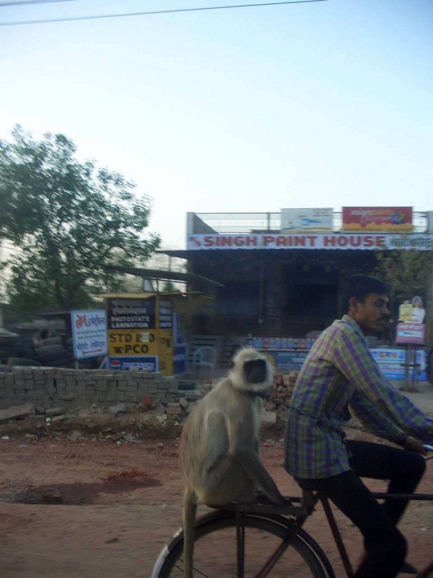 India 2007 211.jpg