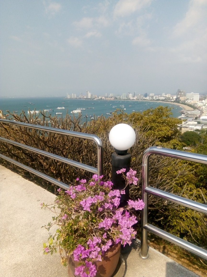 1698777850_LOOKOUT2.thumb.jpg.9ee6c55b0817af6f6d0baf6458ef8f64.jpg