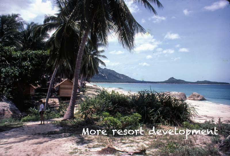 1982_more-resorts.jpg.57ae53d7e134e2520866e3099d9952cc.jpg
