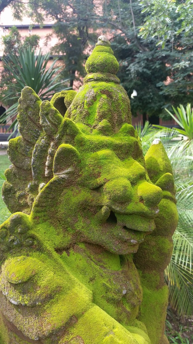 20160622_150952.jpg