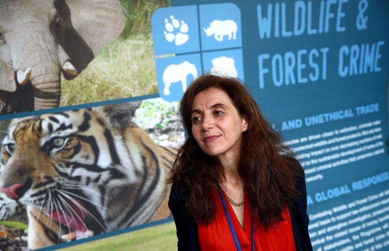 2020-07-10T090927Z_1_LYNXMPEG690IP_RTROPTP_4_UN-WILDLIFE-CRIME.JPG