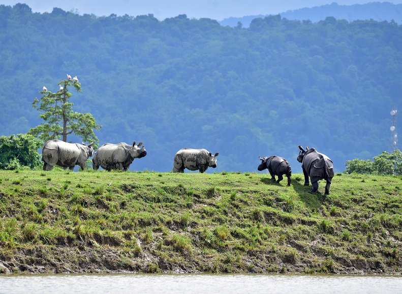 2020-07-20T092542Z_3_LYNXNPEG6I03F_RTROPTP_4_INDIA-FLOODS.JPG