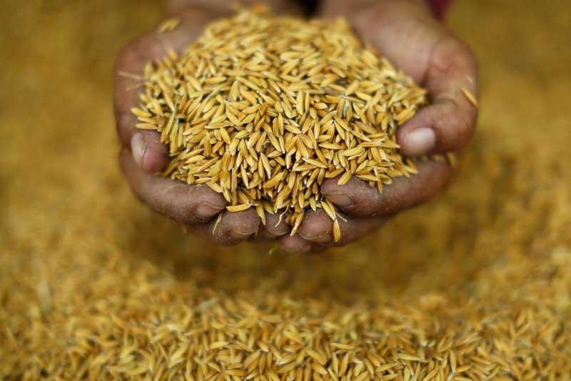 2020-07-22T033741Z_1_LYNXNPEG6L06D_RTROPTP_3_THAILAND-RICE.JPG