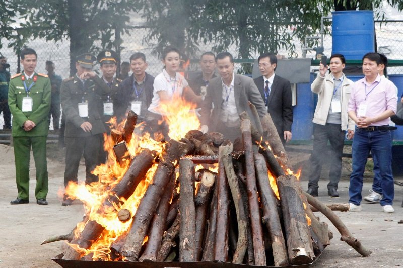 2020-07-24T050808Z_1_LYNXNPEG6N06W_RTROPTP_4_VIETNAM-WILDLIFE-BAN.JPG