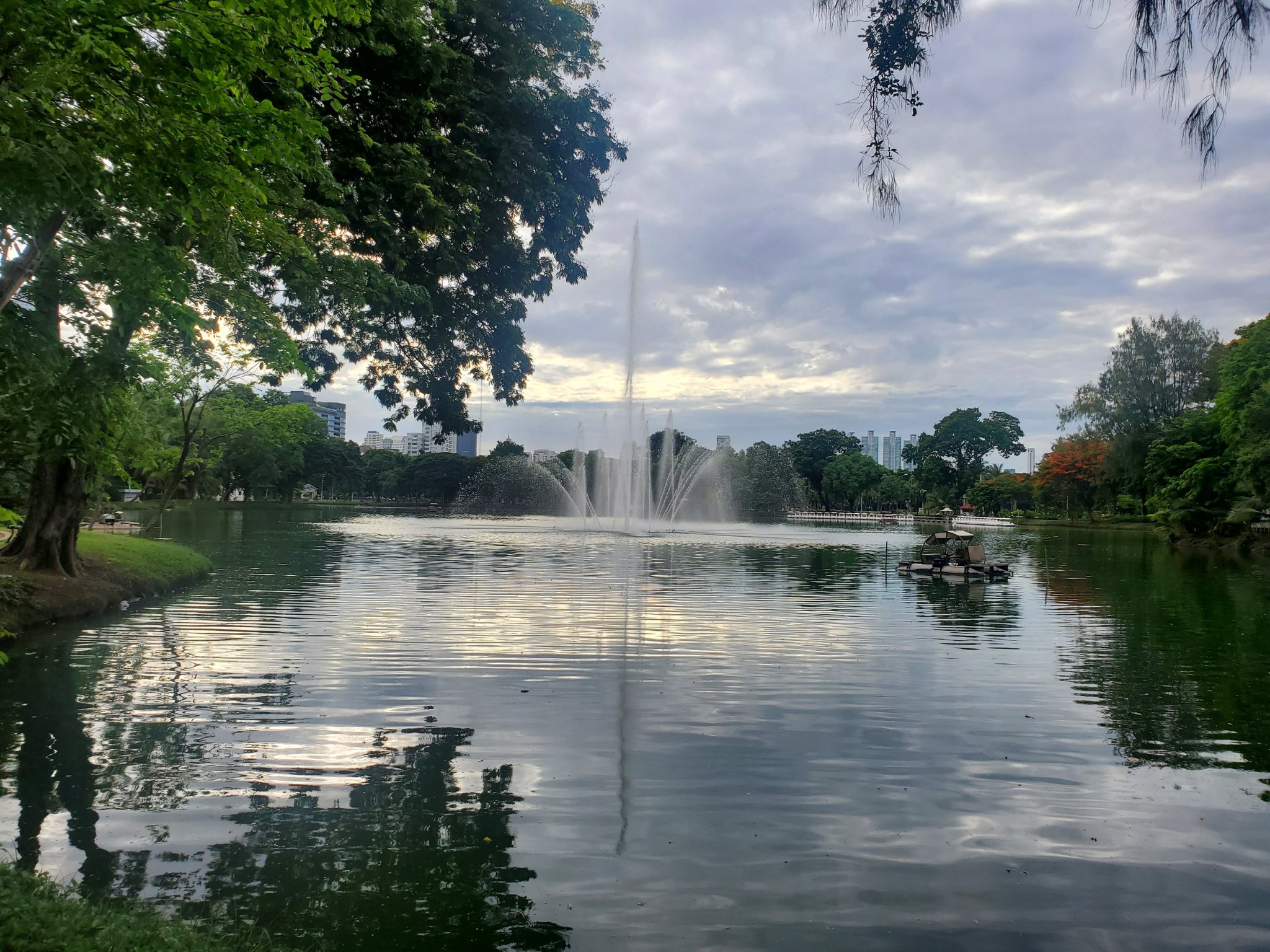20200706_072719.jpg
