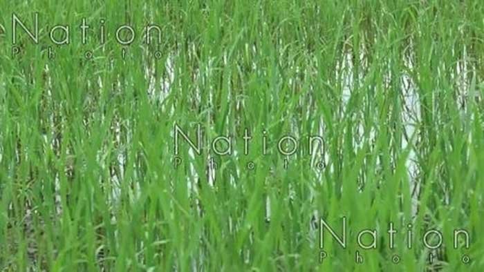 800_b58509555b9efd1.jpg