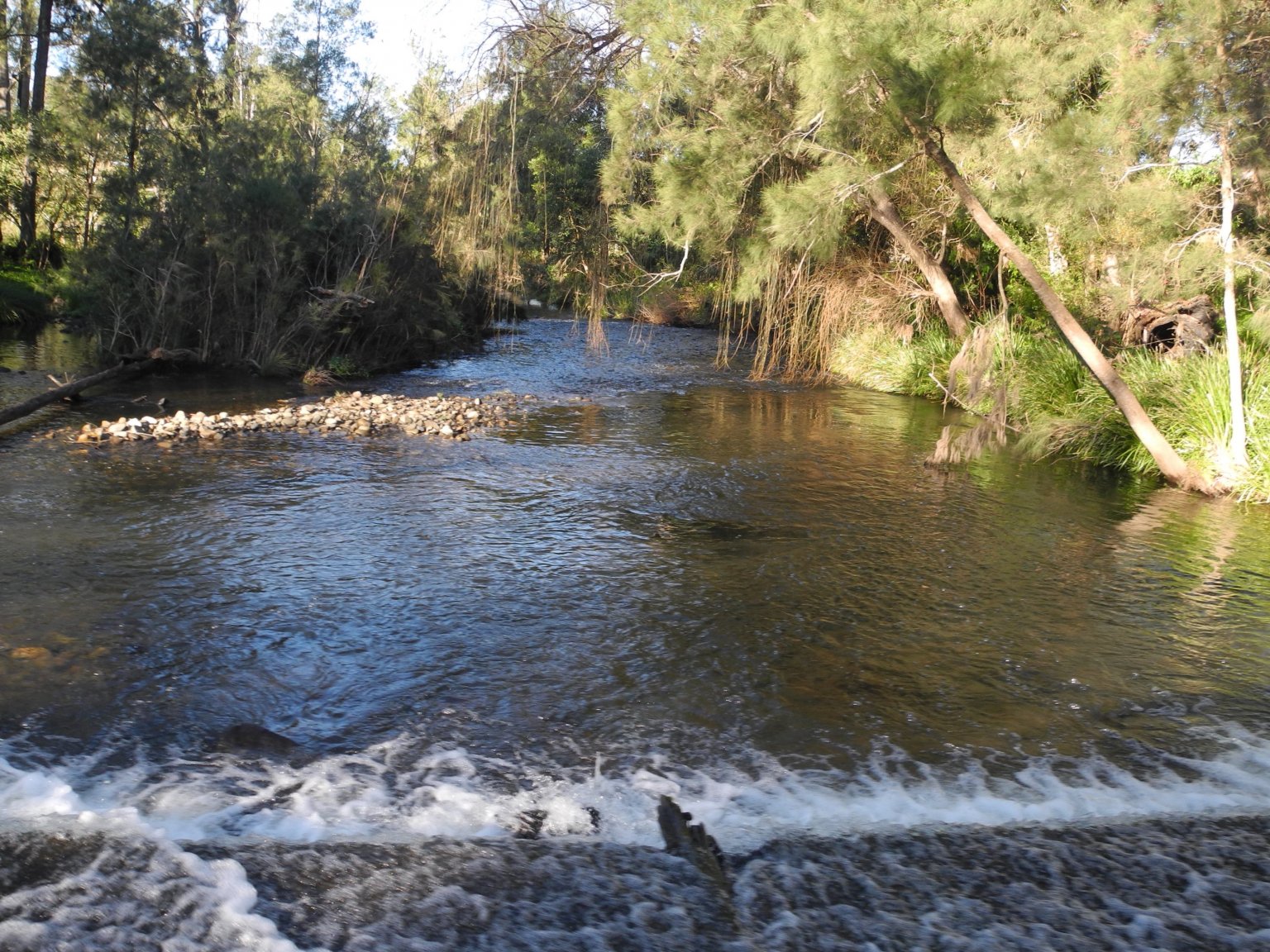 DSCN2209.JPG