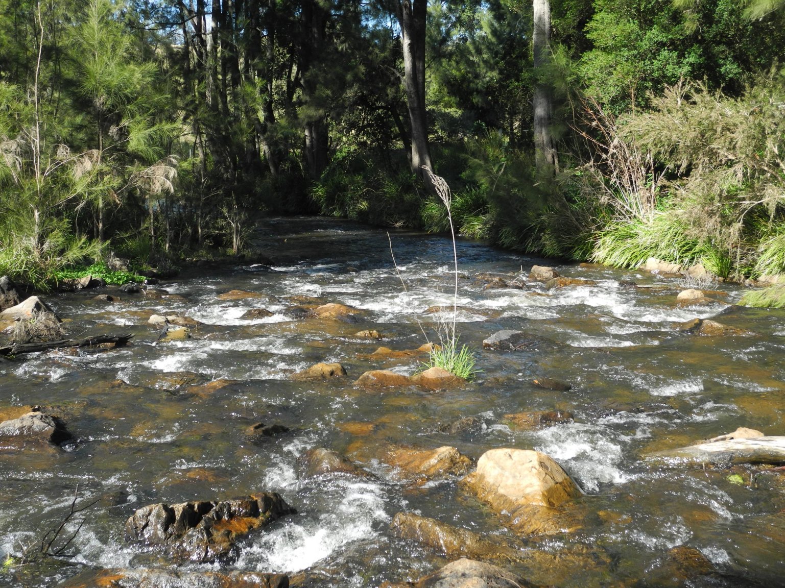 DSCN2284.JPG