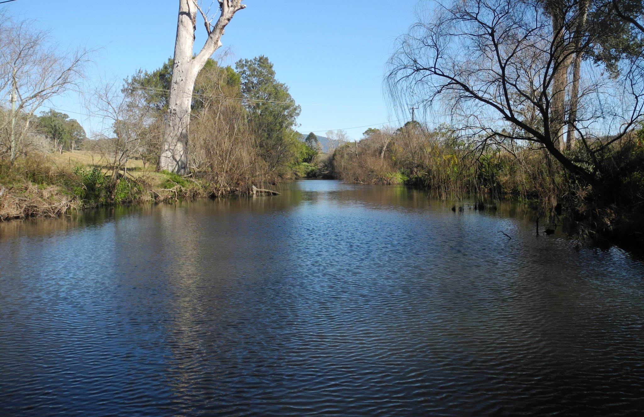 DSCN2287.JPG
