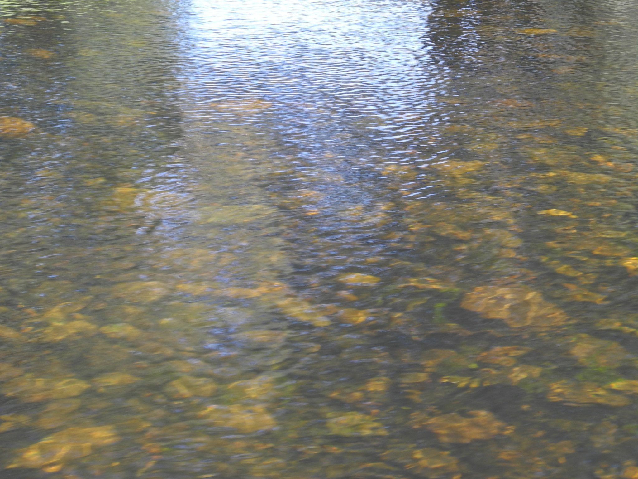 DSCN2295.JPG