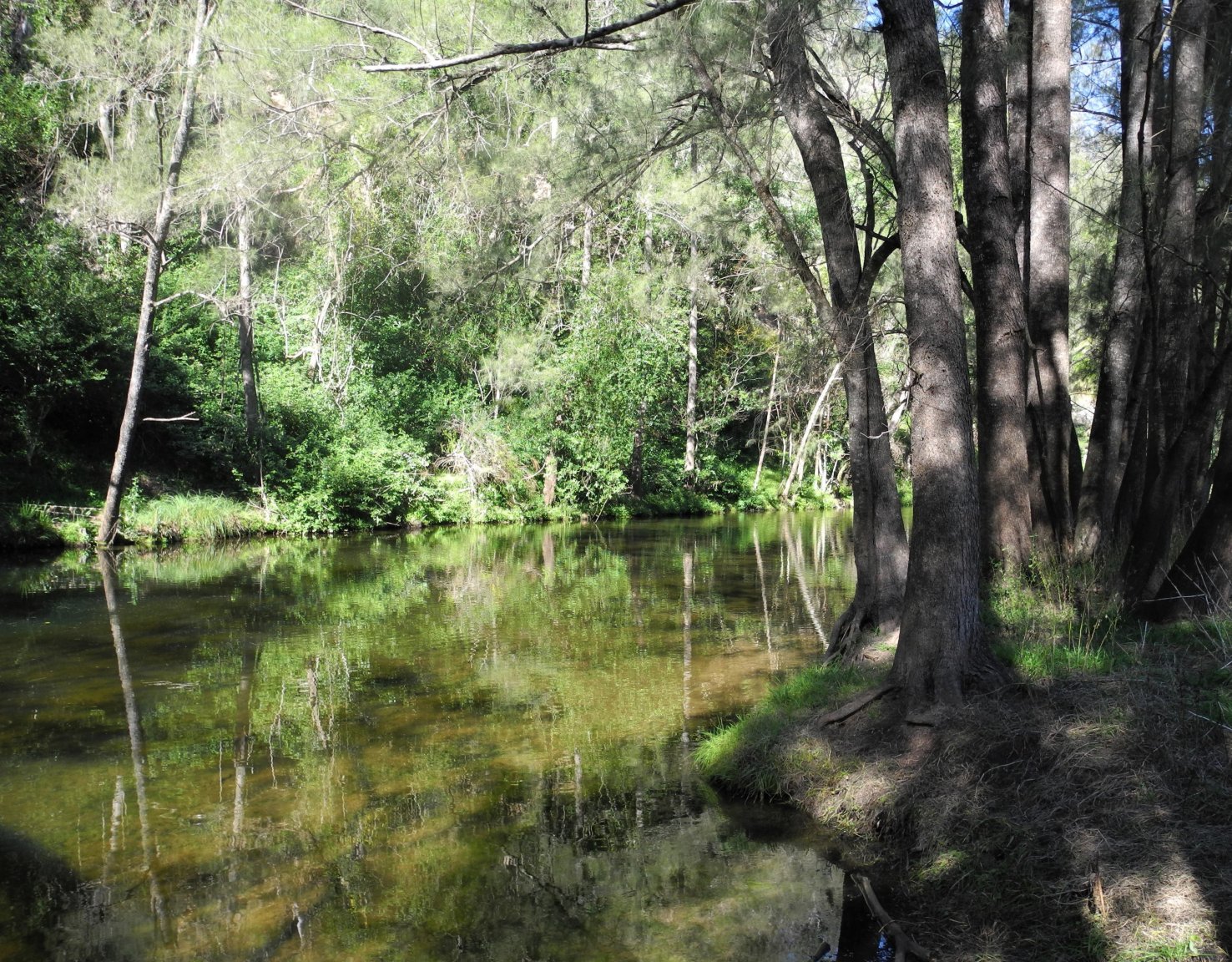 DSCN2315.JPG