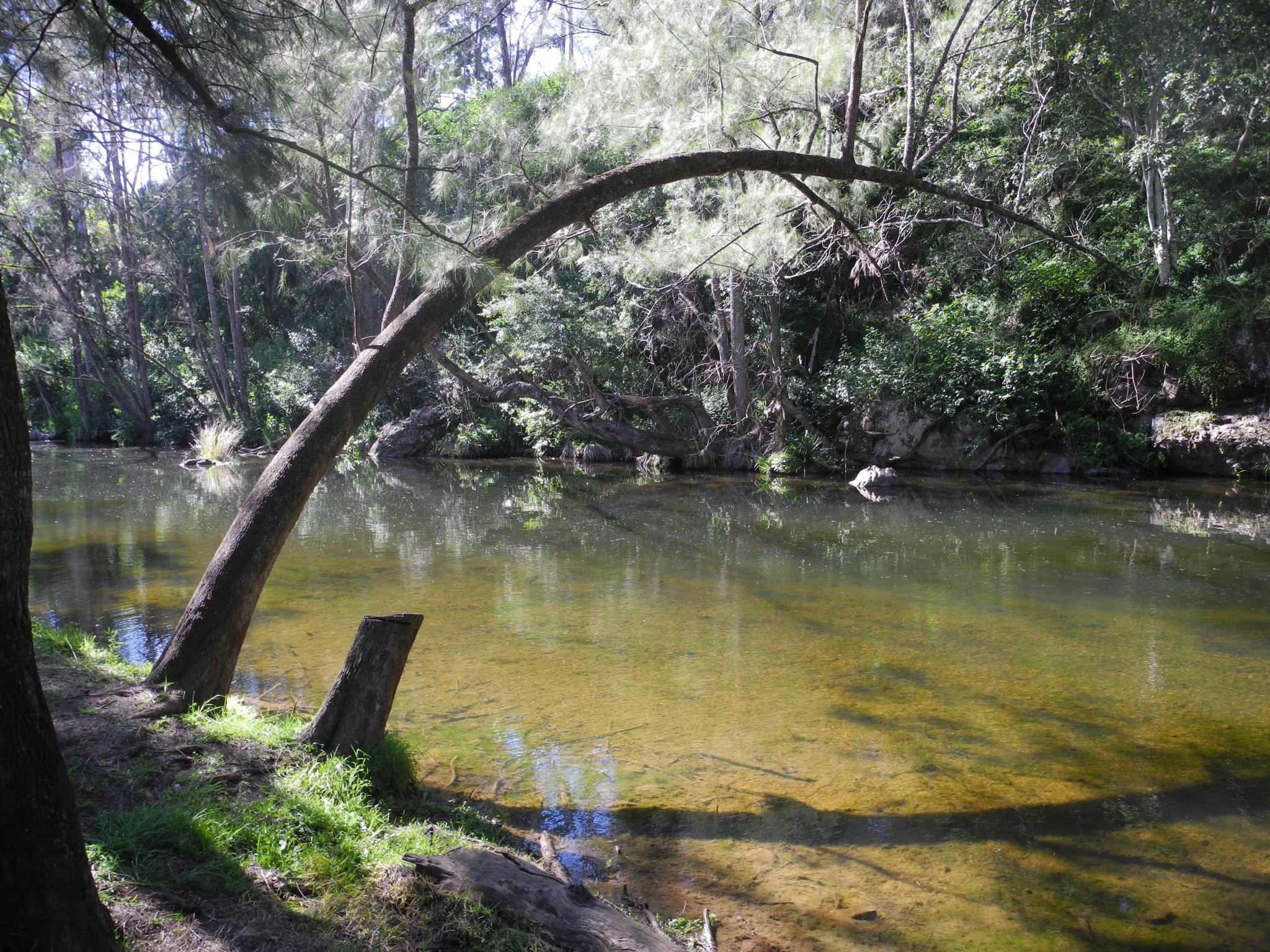 DSCN2318.JPG