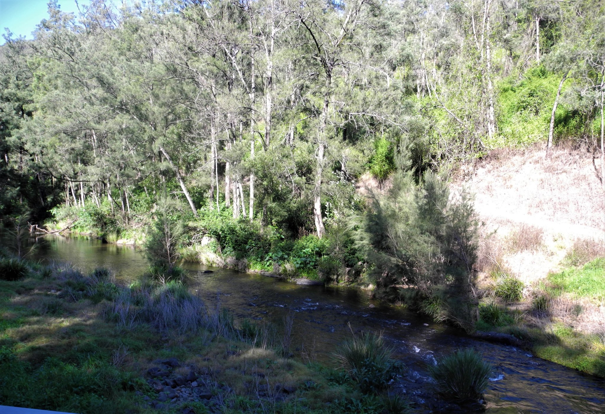 DSCN2321.JPG