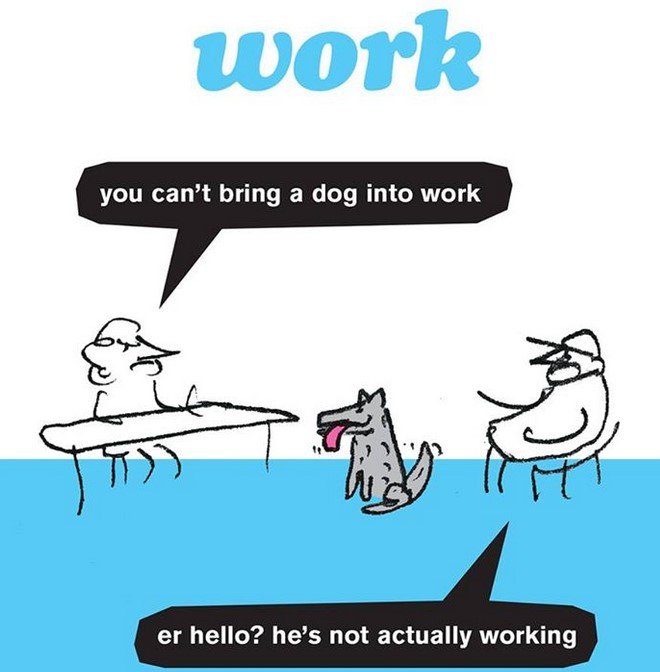 Dog2Work.jpg.aa4132ca650317763b3b1f3fa07e79be.jpg