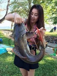 Fish.jpg.78d3b268b9ae783ec3bb8de83f9da311.jpg
