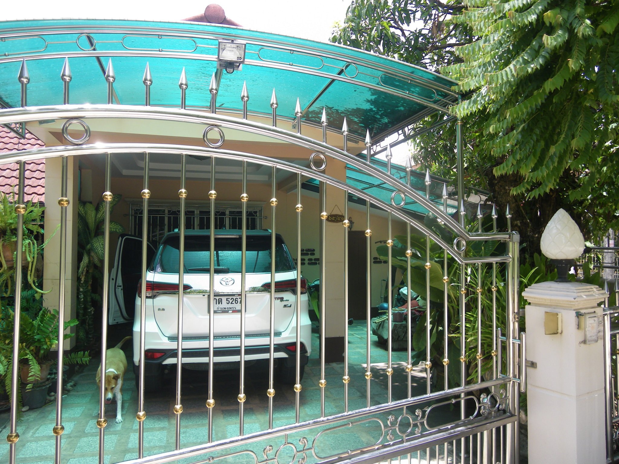 IMGP0002.JPG