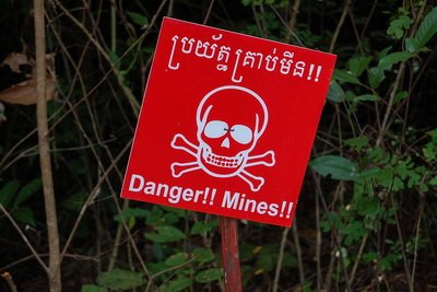 Landmine_11.jpg.8bebd4e6a803f77820bc17bcf780a078.jpg