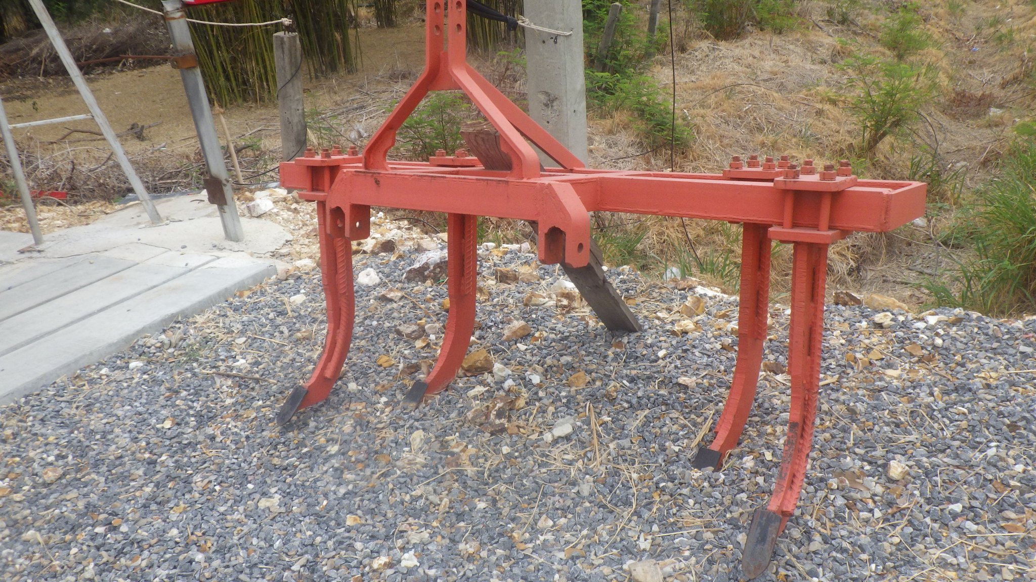 RIMG1381.JPG
