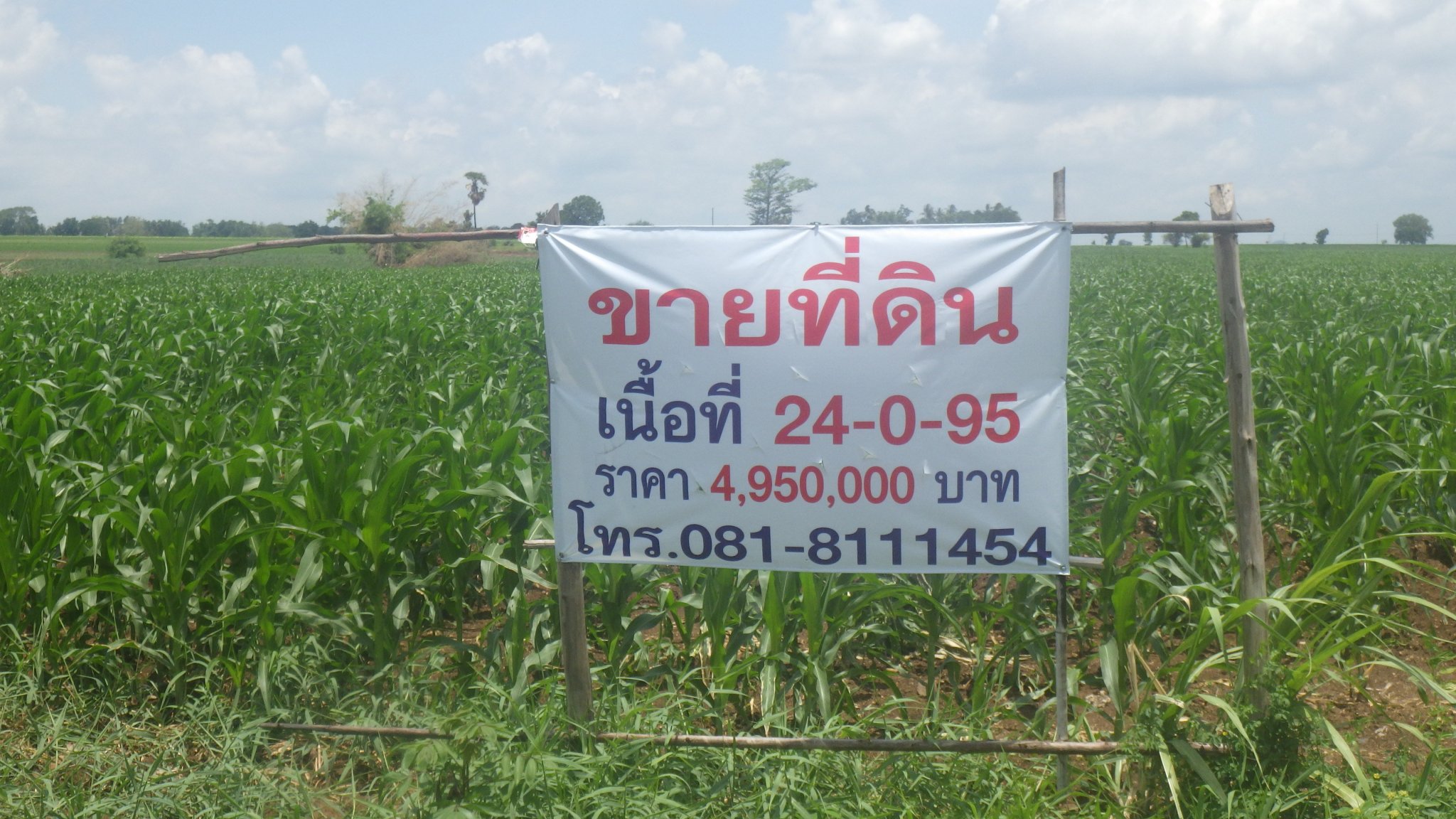 RIMG1473.JPG