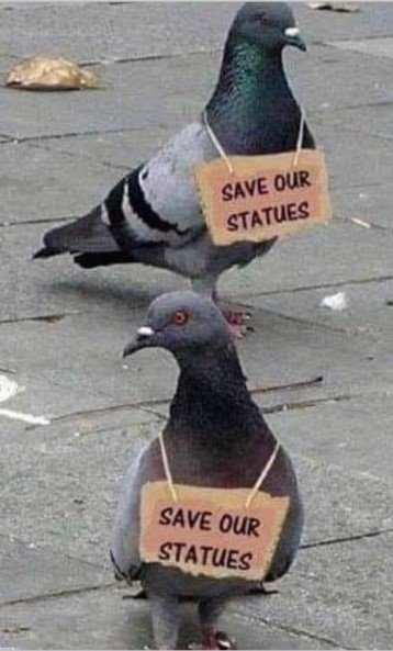 SaveOurStatues_Pigeon.jpg.c9ce9a437fa2fb69db80f068c4f122db.jpg