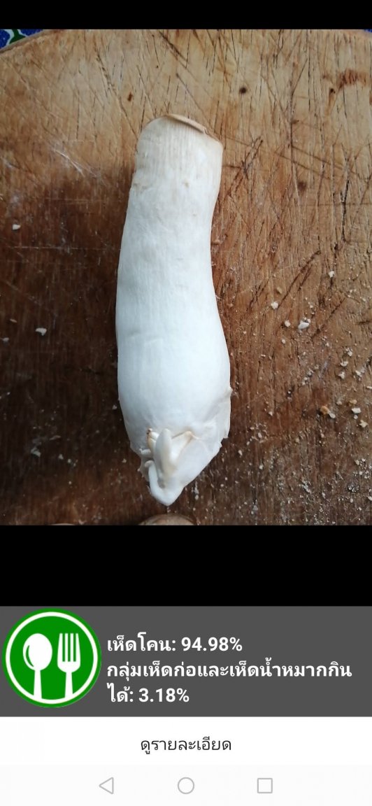 Screenshot_20200715_171810_net.thaimushroom.classify2.jpg