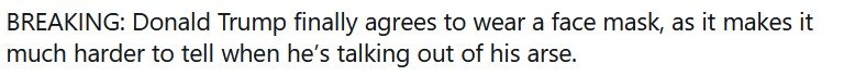TrumpMasked.jpg.ddcbf6f0057686e15aabf701e87517d5.jpg