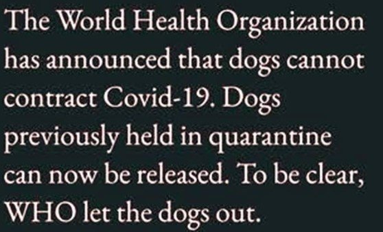 WHO_Covid_Dogs_Out.jpg.da2d75bf82f276ac79b8c20aa5751b21.jpg