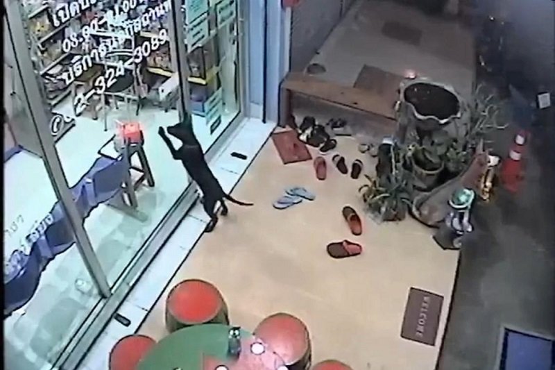 eac8df0da991117fd12c297a18ab2c648af3f0bc0adcb24416c6a5f123e915c9.jpg