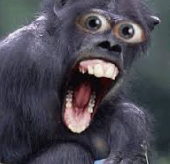 image.png.b64e8991b340f90e983a55f476f733c6.png
