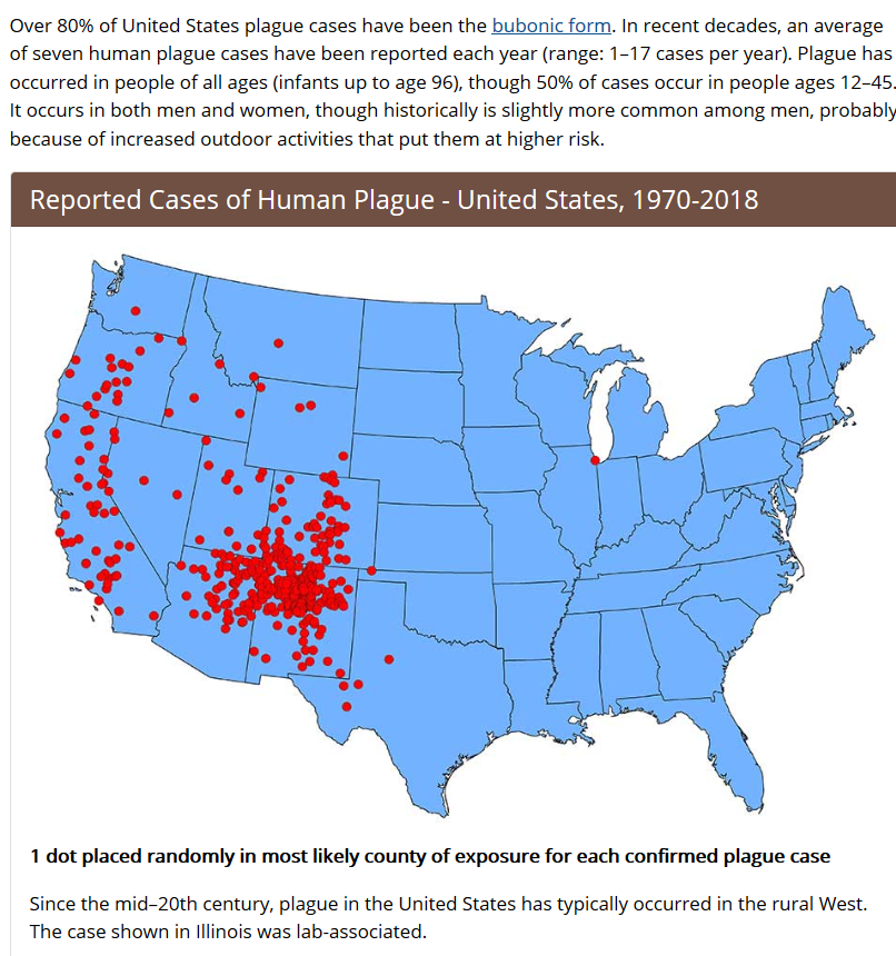 image.png.d4a640195153c458a9e86ff023f786f0.png