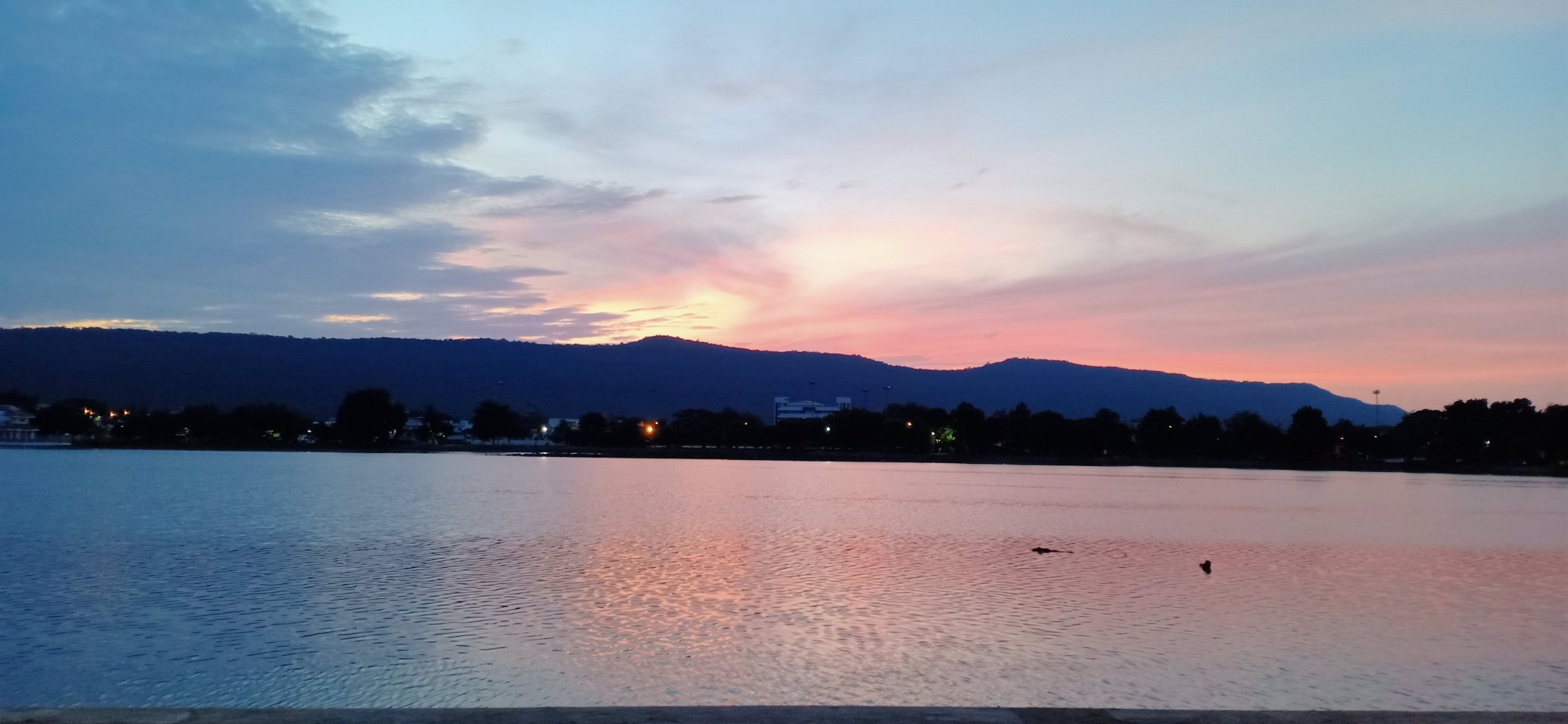 2020-08-29 05.43.32.jpg