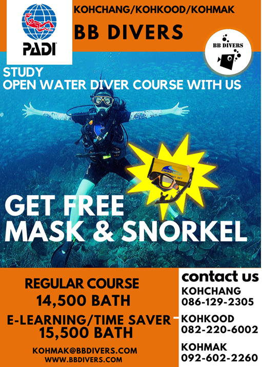 1482149251_openwaterwithmasksetpromotionBBdivers.png.4bc20b692c62a3f4c32280fc662b2837.png