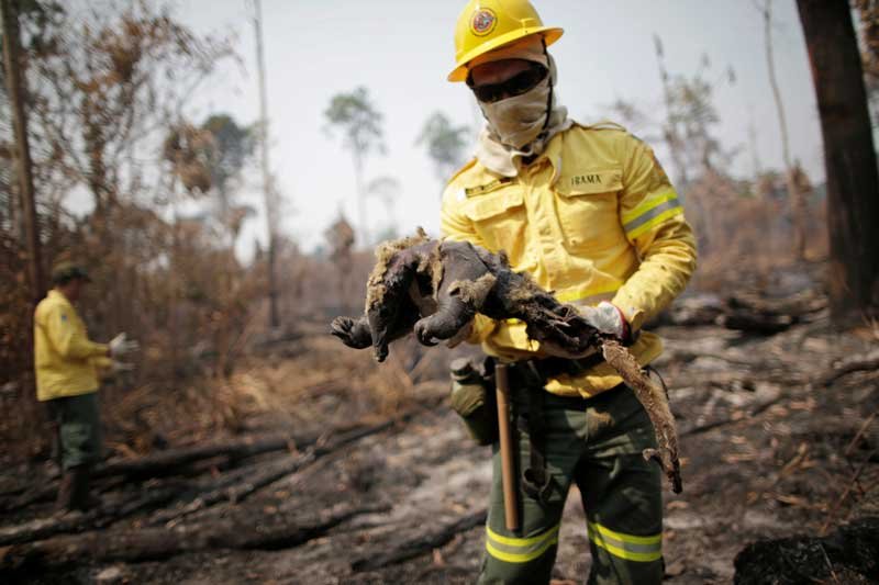 2020-08-11T225921Z_1_LYNXNPEG7A1RZ_RTROPTP_4_BRAZIL-ENVIRONMENT-FIRES.JPG
