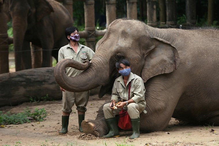 2020-08-24T064123Z_1_LYNXMPEG7N0FT_RTROPTP_4_HEALTH-CORONAVIRUS-VIETNAM-ZOO.JPG