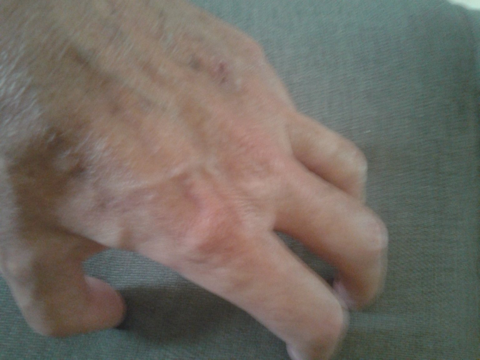 20200820_141756.jpg
