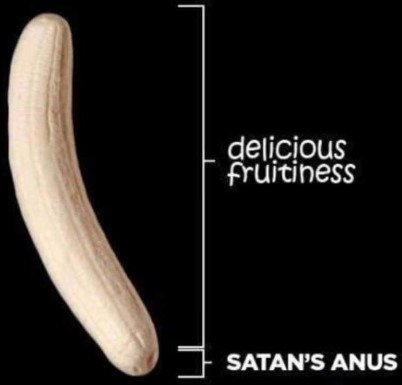 BananaAnatomy.jpg.048578b0b94e514f631b1f2f5d9c4b28.jpg
