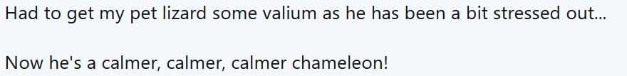 CalmerChameleon.jpg.e4c16d92df17ee59dfa87fdc23dc7189.jpg