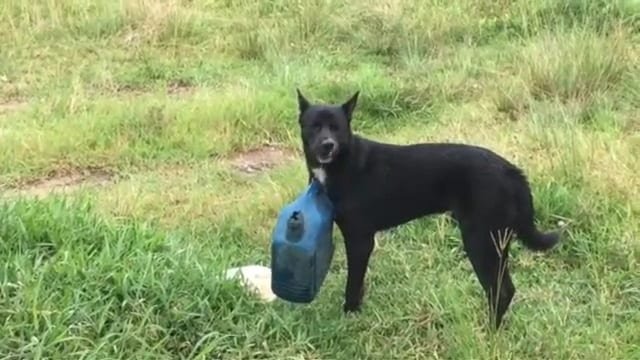 VideoCapture_20200804-000206.jpg