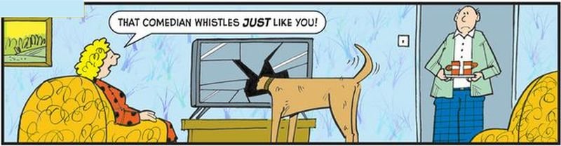 dog.jpg.d64137ac036dc9e9834b15b30688db1e.jpg