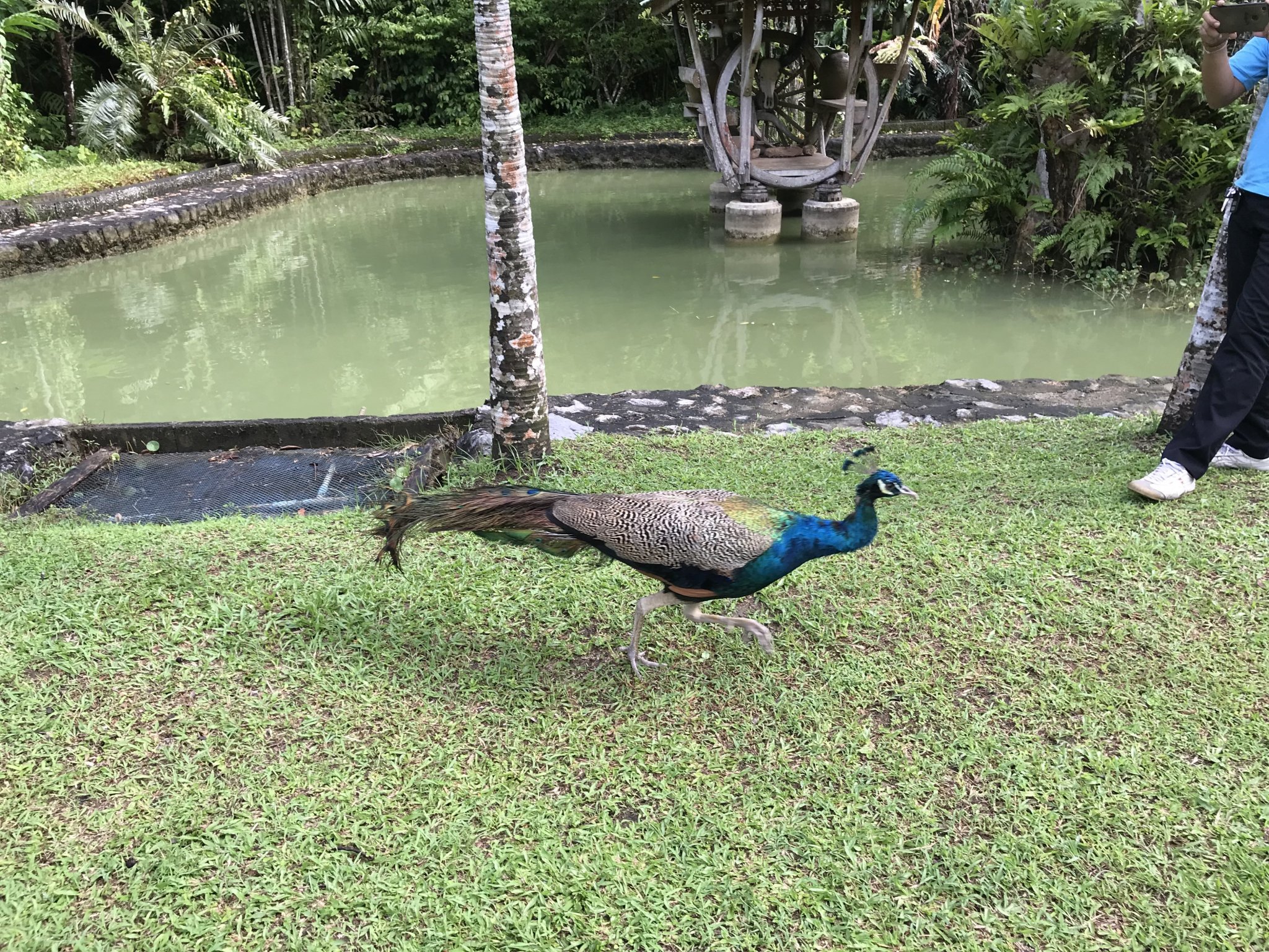 13688585-E04D-4087-8A72-FA5B3F7C8B08.jpeg